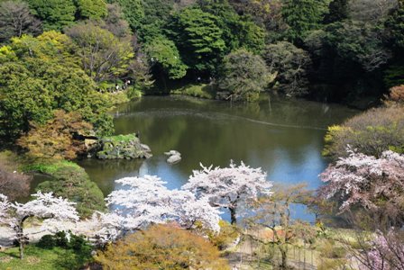 les rencontres de sophie 2010